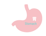 長崎整形外科,いでた整形外科クリニック